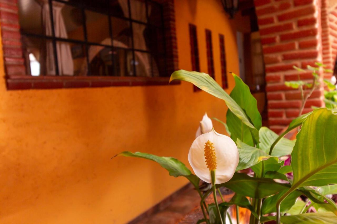 Mex Suites Casa Azul B&B Мексико Сити Екстериор снимка
